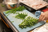 Kräuter
